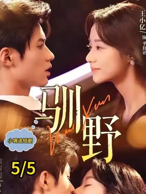 电视剧 陈情令 封面